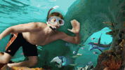 Intro Plays GIF