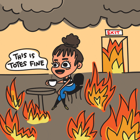 This Is Fine On Fire GIF by Denyse®