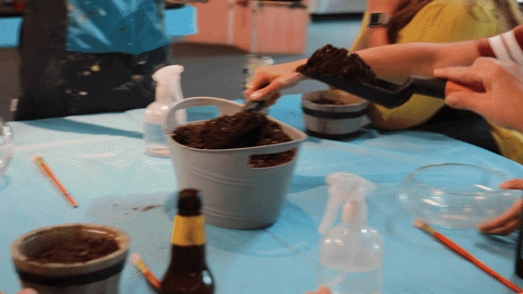 PaintNite giphyupload GIF