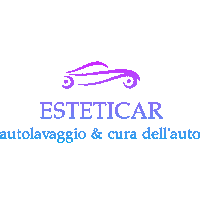 Car Detailing Sticker by Esteticar