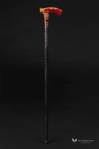 tailorroma giphyupload GIF
