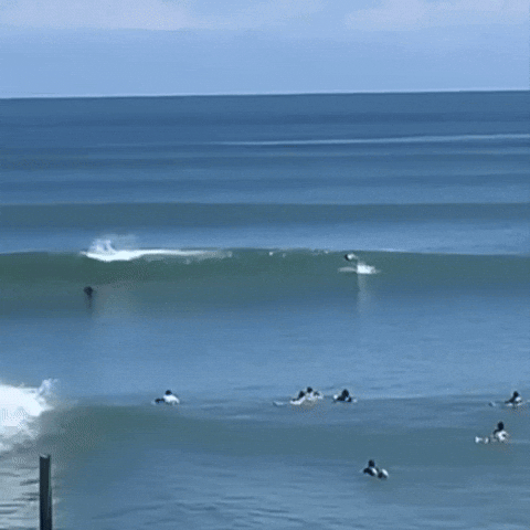 Ocean Life Beach GIF by Respective