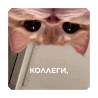 kollegi_digital setters креатив setters education kollegi digital Sticker