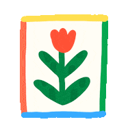 liviafalcaru nature flower flowers rose Sticker