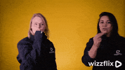 Wizzflix_ yellow yellowstone hospitality horeca GIF