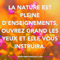 Business Canada GIF by PIMP TA MARQUE