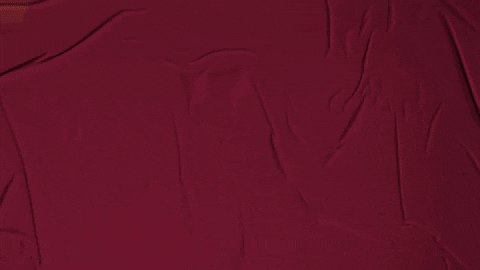 College Baseball GIF by Pearl River Athletics