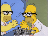 homer simpson episode 10 GIF