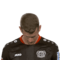Bayer 04 Hello Sticker by Bundesliga
