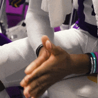 Lsu Football GIF by LSU Tigers