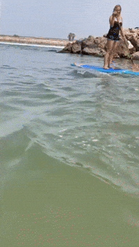 Paddle-Boarder Takes a Topple at Just the Wrong Moment