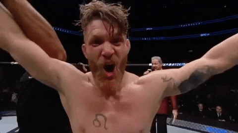 Ufc 206 Mma GIF by UFC
