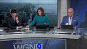 wgnmorningnews fail toss wgn womp womp GIF