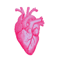 Heart Love Sticker by Ames Stay true