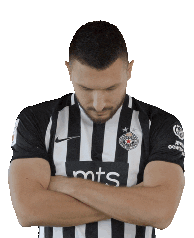 Partizan Sticker by sportmts