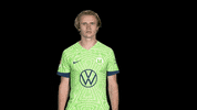 Bundesliga Hello GIF by VfL Wolfsburg