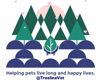 GIF by Treeline Vet