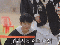 세븐틴 GIF
