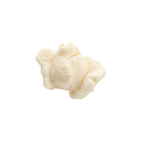 sauerbrands giphyupload Sticker