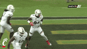 cincinnati bearcats GIF by University of Cincinnati Athletics