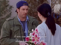 season 1 netflix GIF by Gilmore Girls 