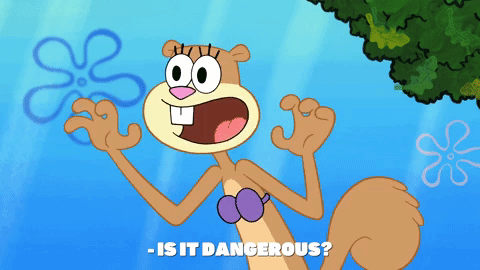 episode 1 GIF by SpongeBob SquarePants