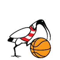 Basketball Ibis Sticker by Newtown Breakaways