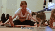Best Friends Nkla GIF by Best Friends Animal Society