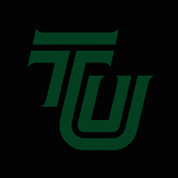 tiffinu tu tiffin university tiffin dragons GIF