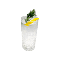 Quench Gin And Tonic Sticker by John Robert's Botanic Request