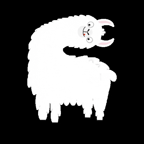 marthainoan giphygifmaker llama GIF