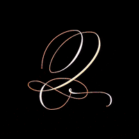 ariweinkle typography q ari weinkle growths GIF