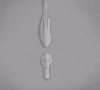Dinosaur Swiming GIF