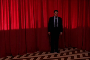 Season 2 Episode 22 GIF by Twin Peaks on Showtime