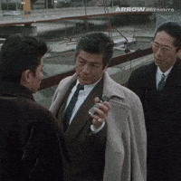 V Cinema Film GIF by Arrow Video