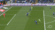 chris bedia GIF by Sporza