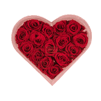 heart love Sticker by GRACE Flowerbox