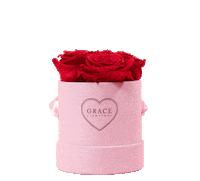 be my love Sticker by GRACE Flowerbox