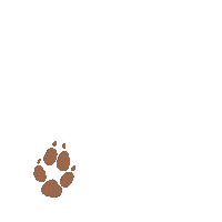 Fox Autumn Sticker