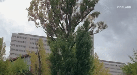 viceland GIF by HUANG'S WORLD