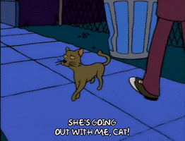 season 9 cat GIF