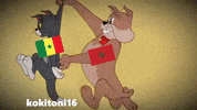 Morocco Algeria GIF