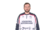 Handball-Bundesliga Sg Sticker by LIQUI MOLY HBL