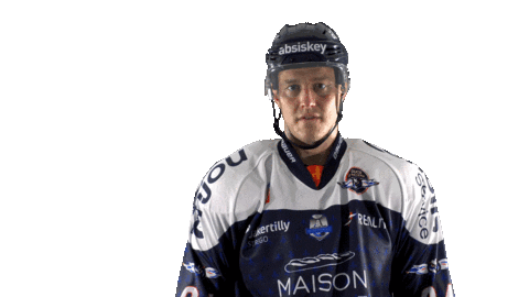 Hardowa Sticker by Les Ducs d'Angers