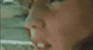 sun rose GIF