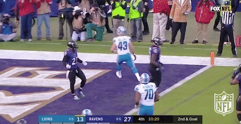 Detroit Lions Football GIF by NFL