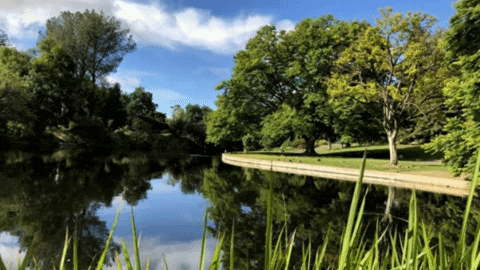 s1cn1c giphyupload clouds background zoom GIF