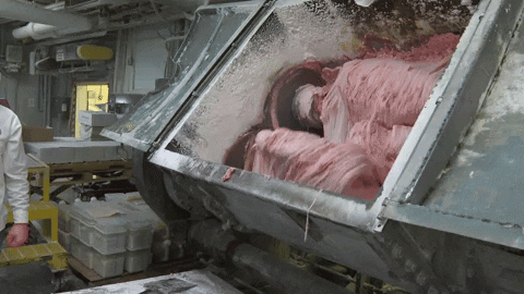 7NewsWKBW giphyupload GIF