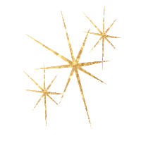 Sparkle Shine Sticker by SHiNEDanceFitness