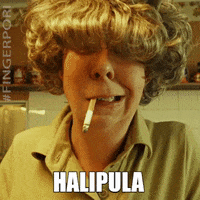Solar Films Hali GIF by Nordisk Film Finland